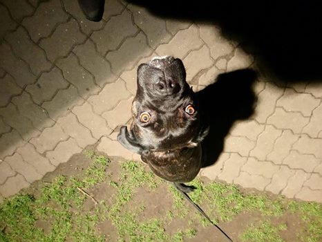 Strach ma wielkie oczy ..ale jakież piękne <3